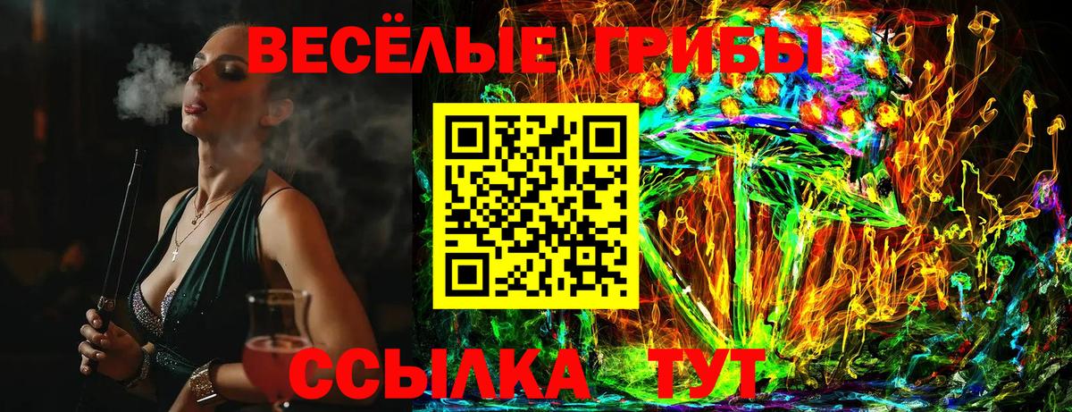 Псилоцибиновые грибы прущие грибы Касимов
