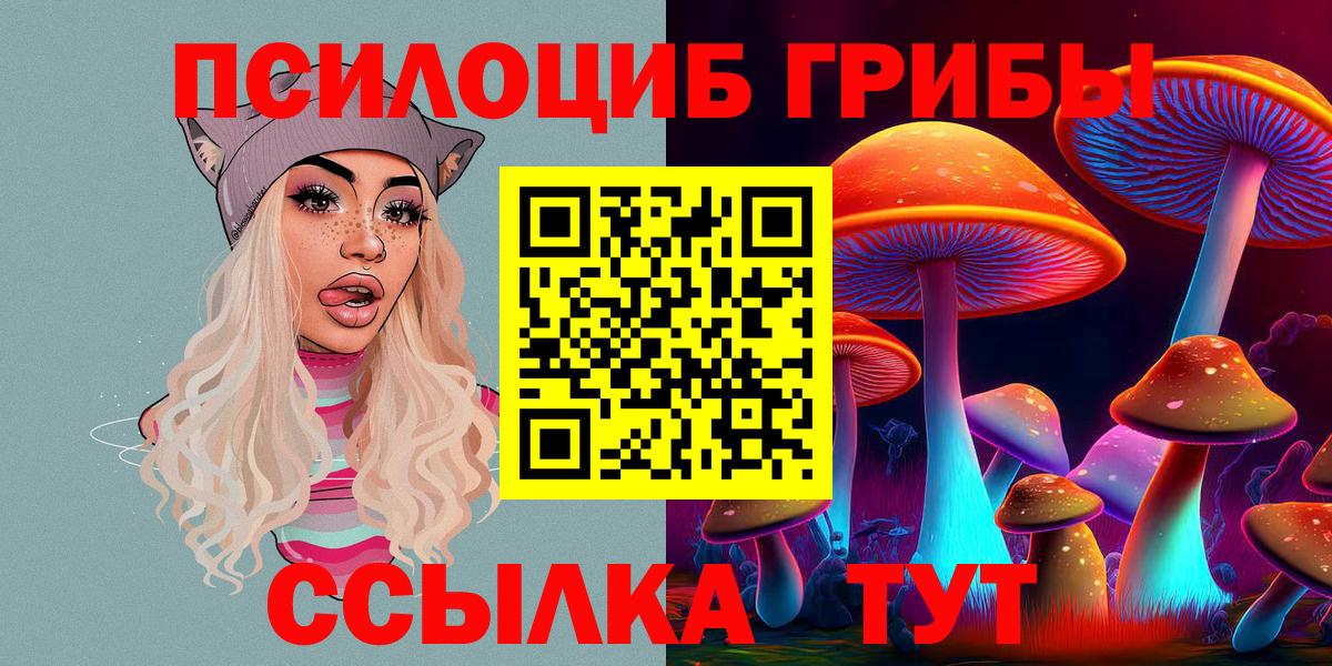 Касимов  Галлюциногенные грибы GOLDEN TEACHER  Псилоцибиновые грибы Psilocybe  Вход с VPN 